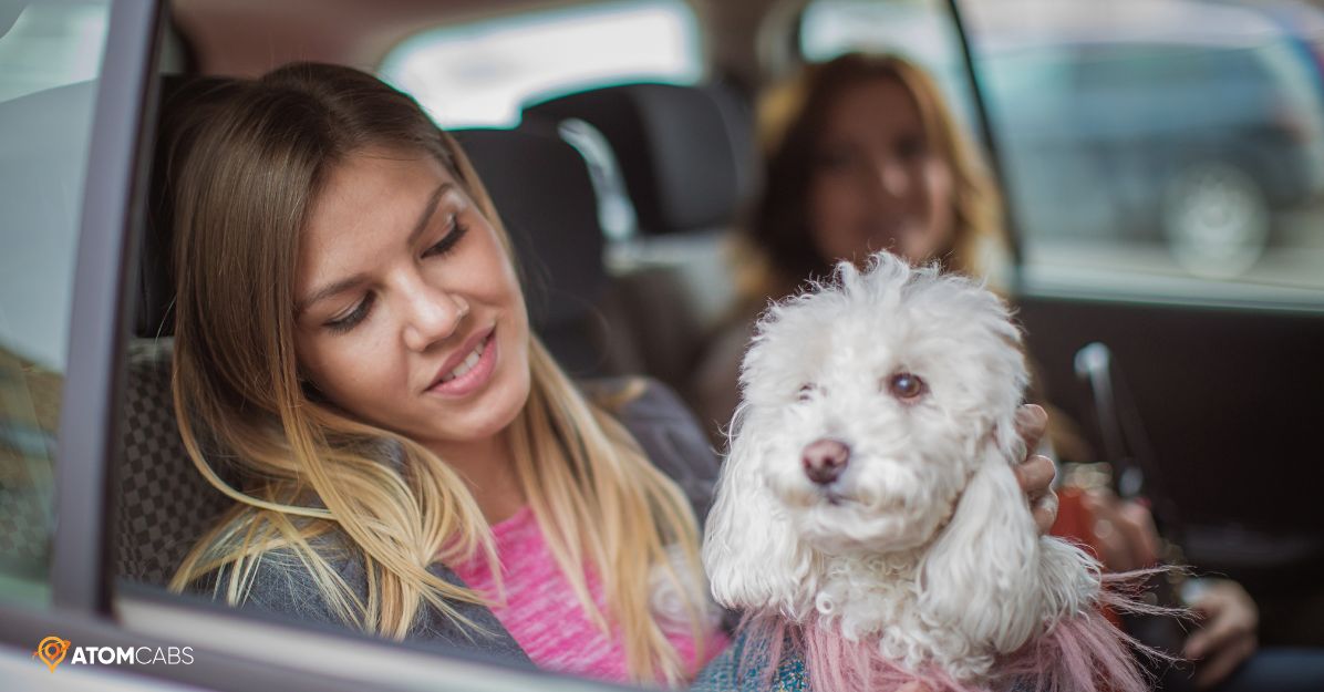 Traveling with Pets? How to Book Pet-Friendly Taxis in Dorset & Somerset